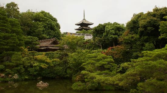 仁和寺-京都市必去景点