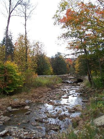 Allegany State Park景点图片
