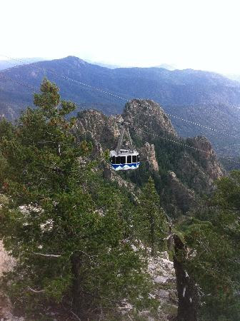 桑迪亚山顶缆车-阿尔伯克基必去景点