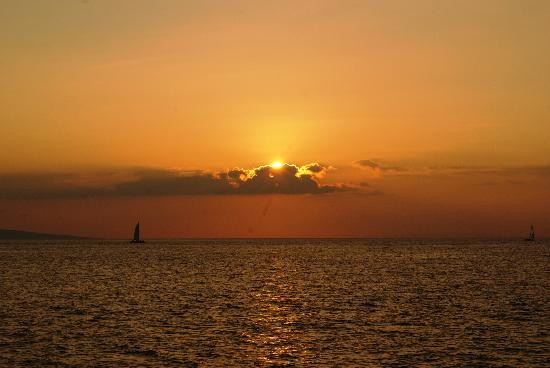 太平洋鲸鱼基金会-玛阿拉也亚必去景点