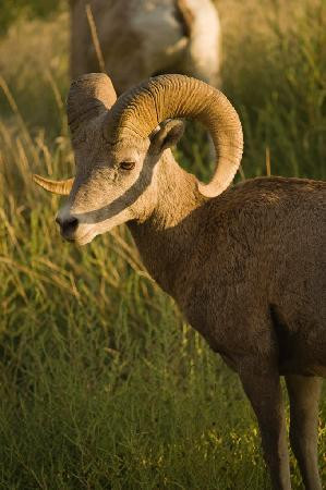 ROW Adventures-米苏拉必去景点