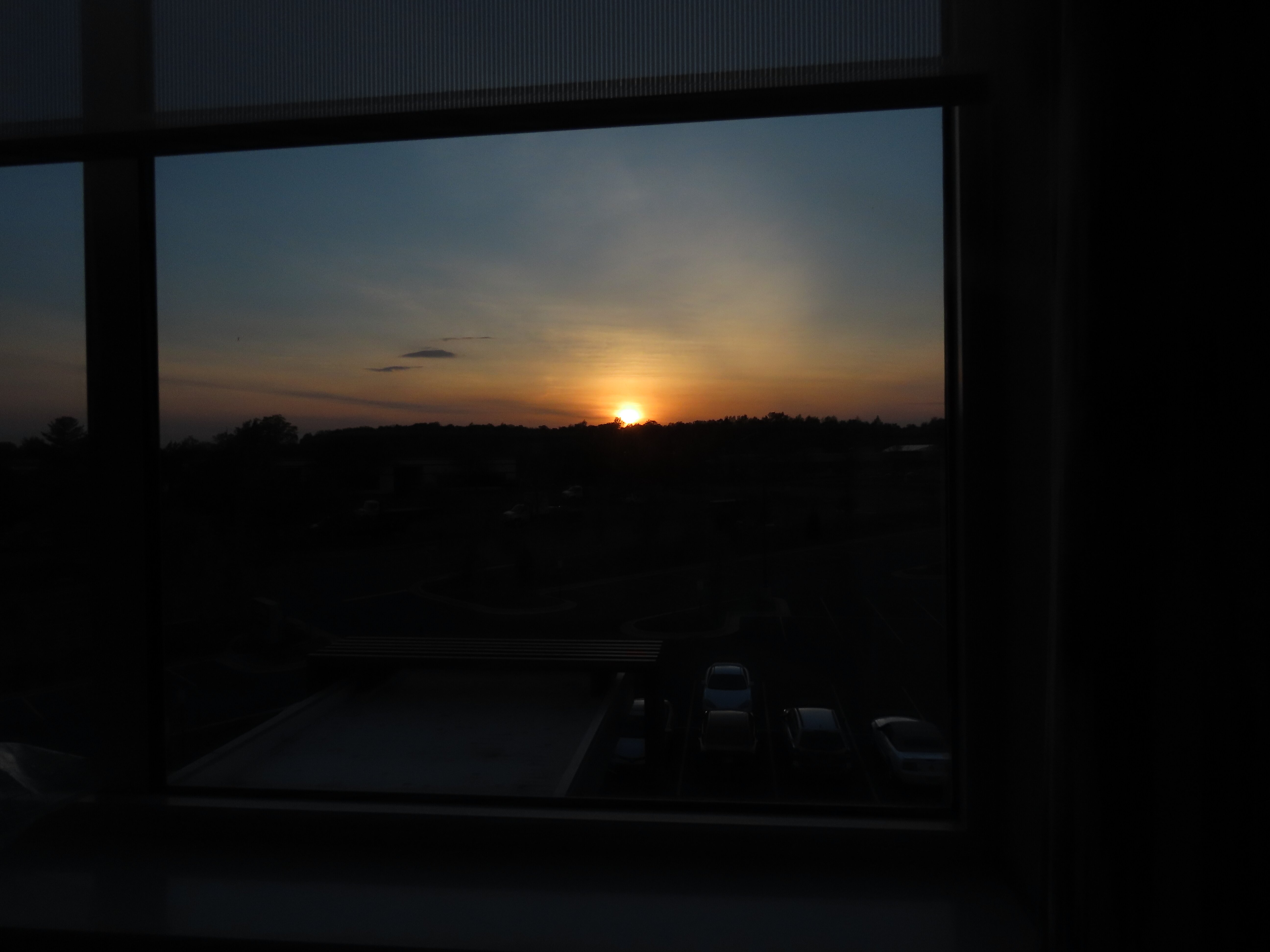 Hilton Garden Inn Manassas-酒店景观