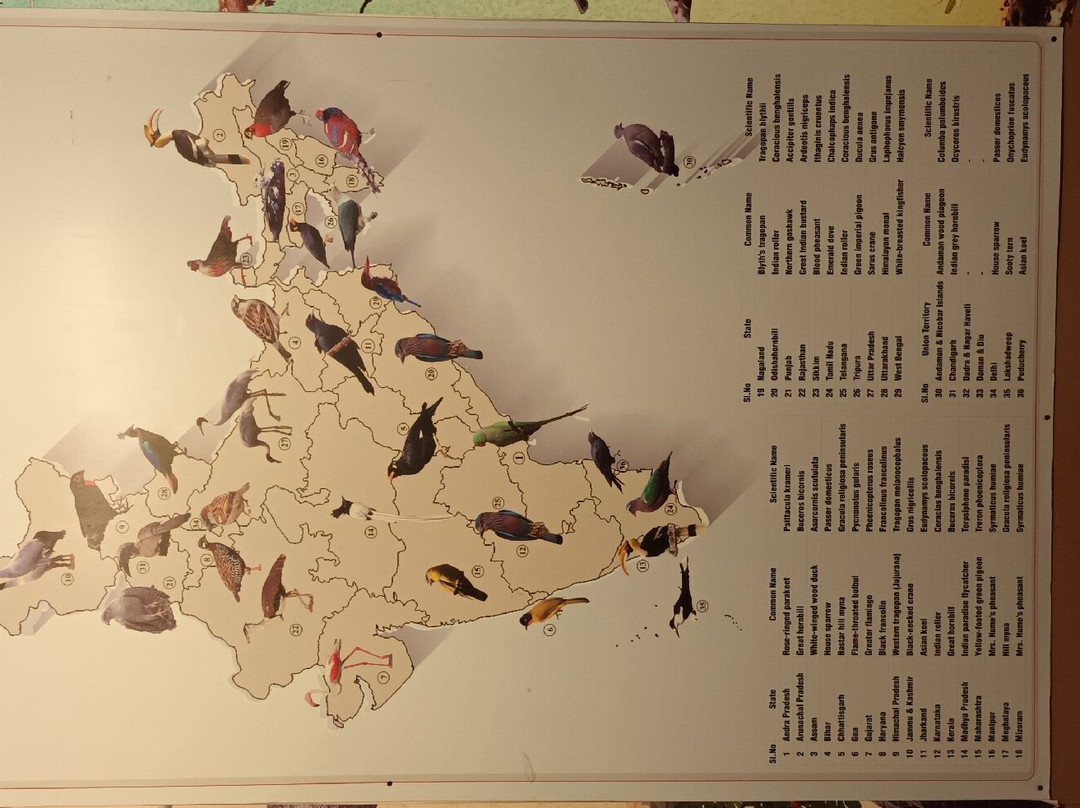 Regional Museum of Natural History-迈索尔必去景点