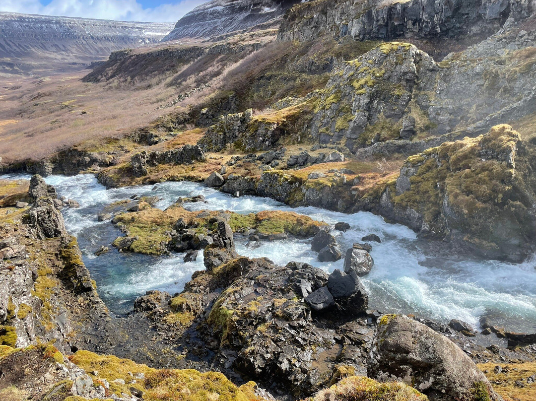 Wild Westfjords-伊萨菲厄泽必去景点