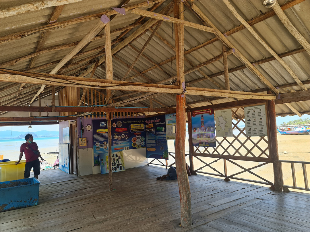 Ban Koh Mook Community Tourism Enterprise Group Koh Mook Community Based Tourism景点图片