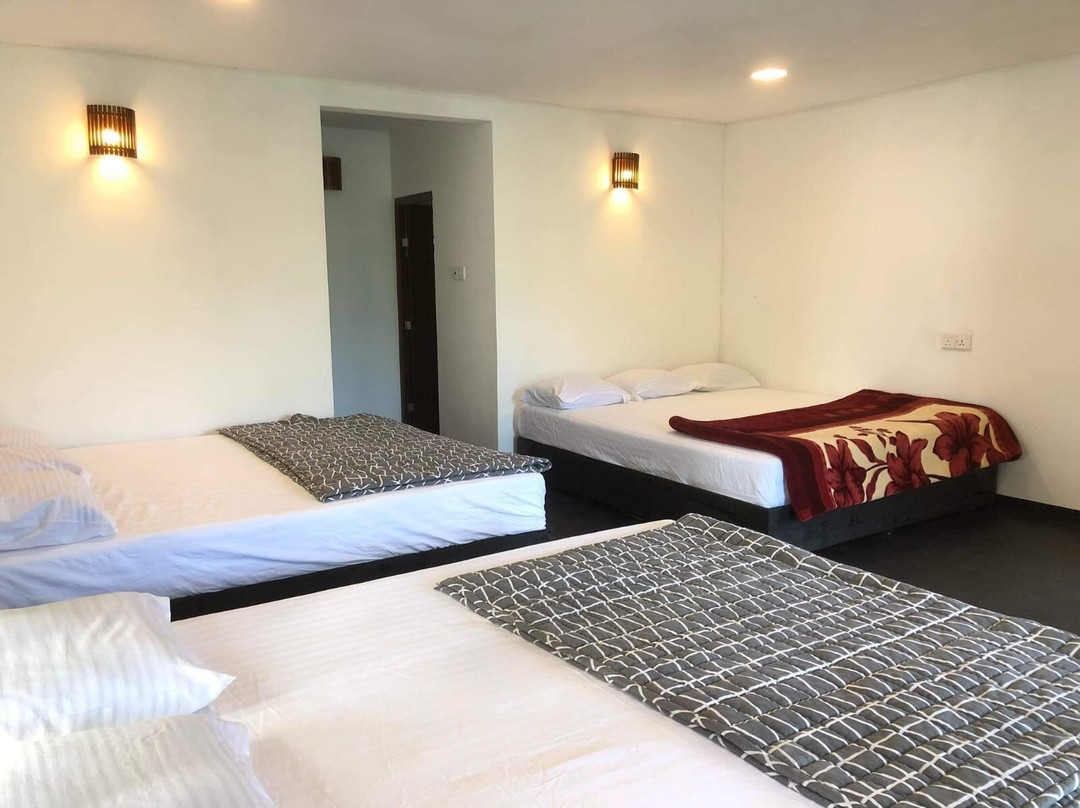 Knuckles Mansala主图