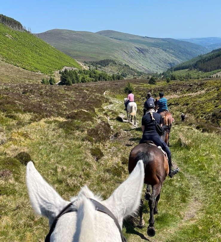 Hollywood Horse and Pony Trekking-Wicklow必去景点