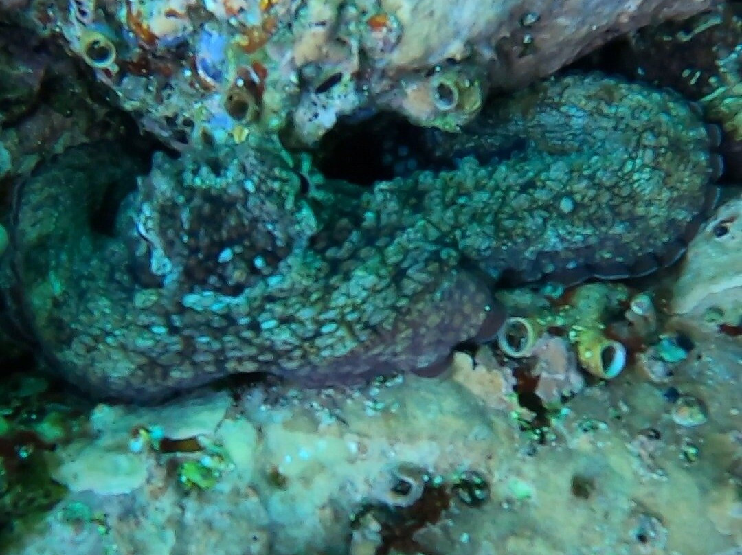 RogerSEABREEZE-卡波圣卢卡斯必去景点