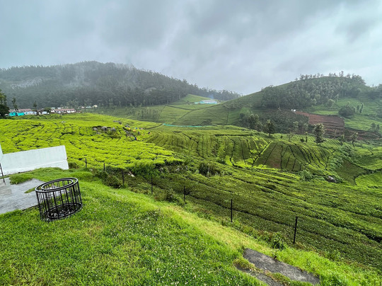 Lynfields Leisure主图