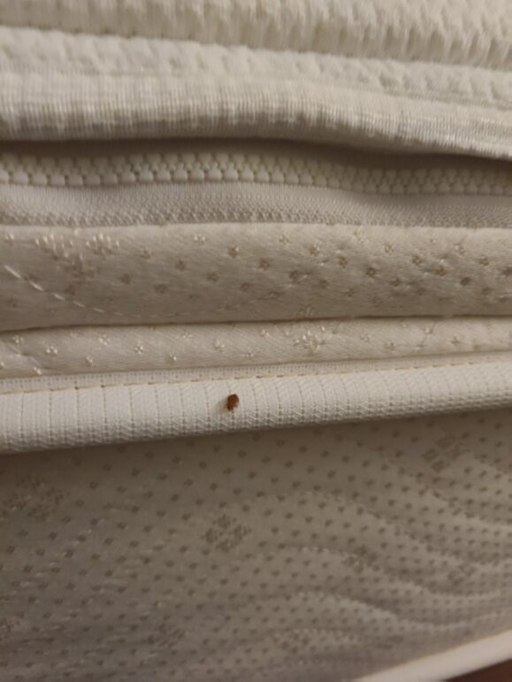 列克星敦源宿酒店主图