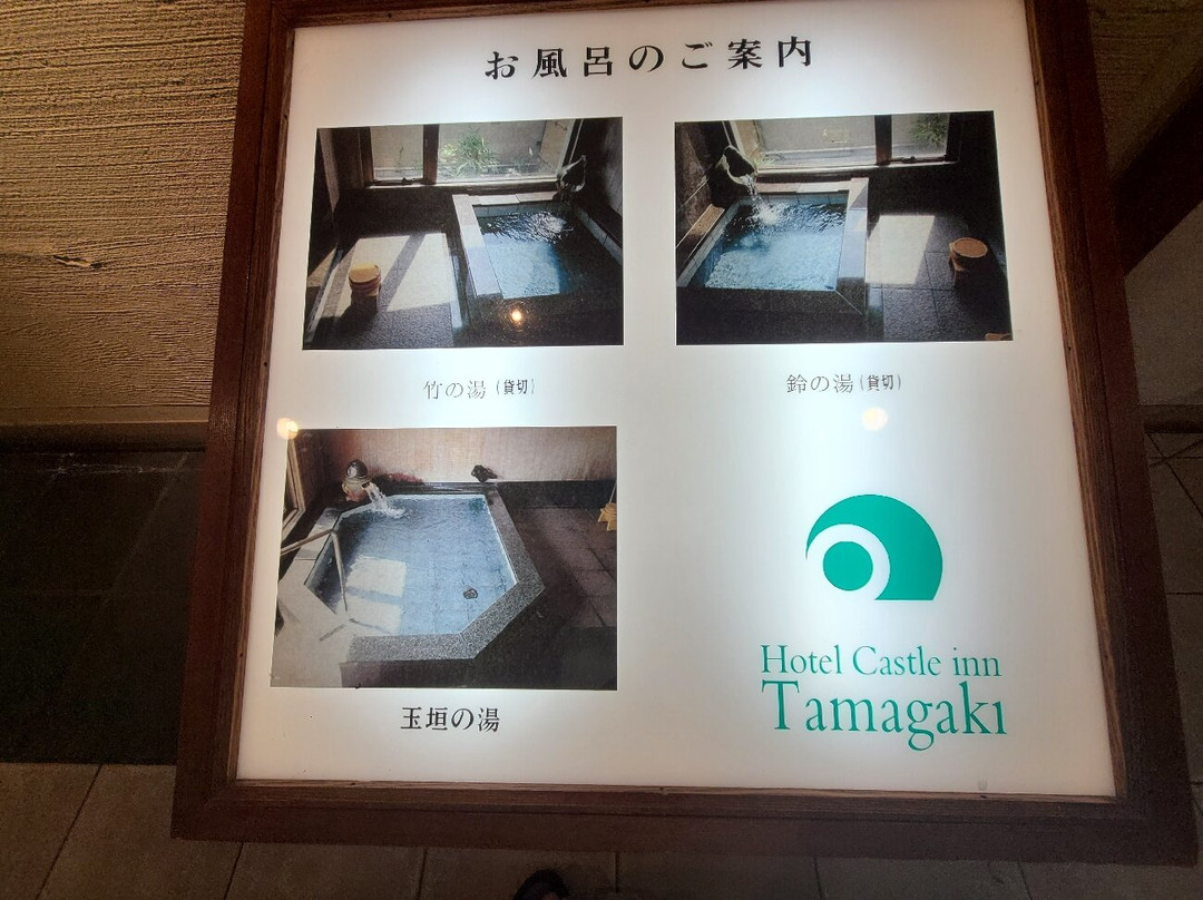 Hotel Castle Inn Suzukachuo主图