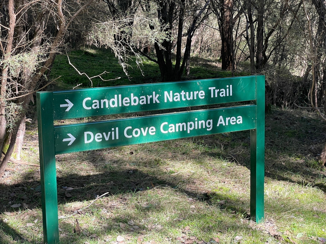 Candlebark Nature Trail-Eildon必去景点