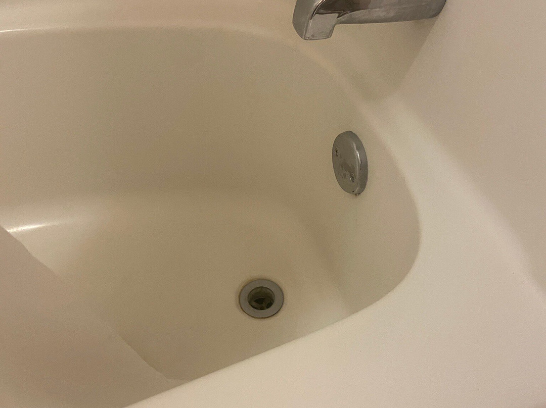 Cactus Tree Inn主图