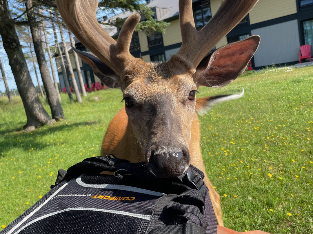 Anticosti Ecotours-Port-Menier必去景点