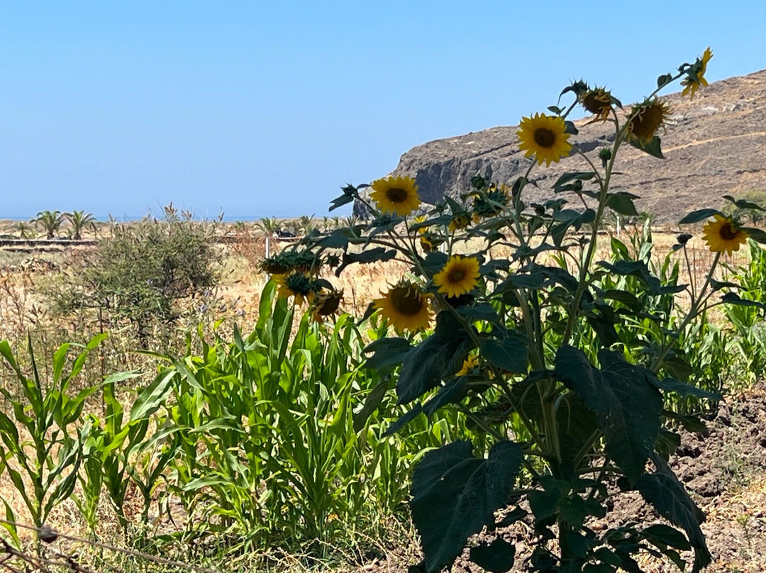 Aeolian Village Beach Resort主图