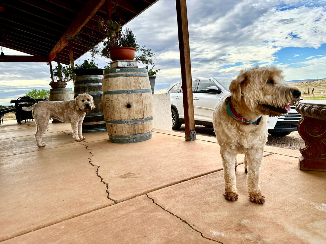 Callaghan Vineyards-Elgin必去景点