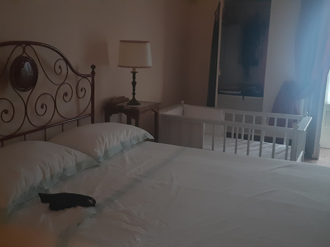 Antico Aranceto主图