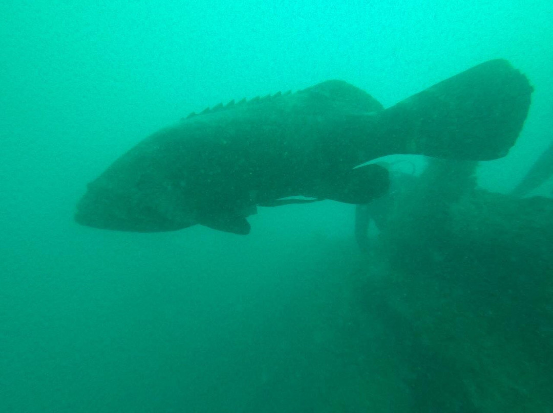 Horizonte Aberto - Catamarans-Caravelas必去景点