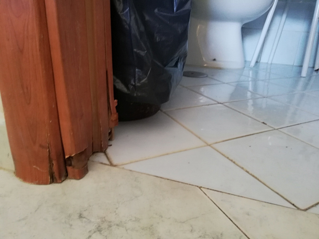 Hotel Klein Wien主图