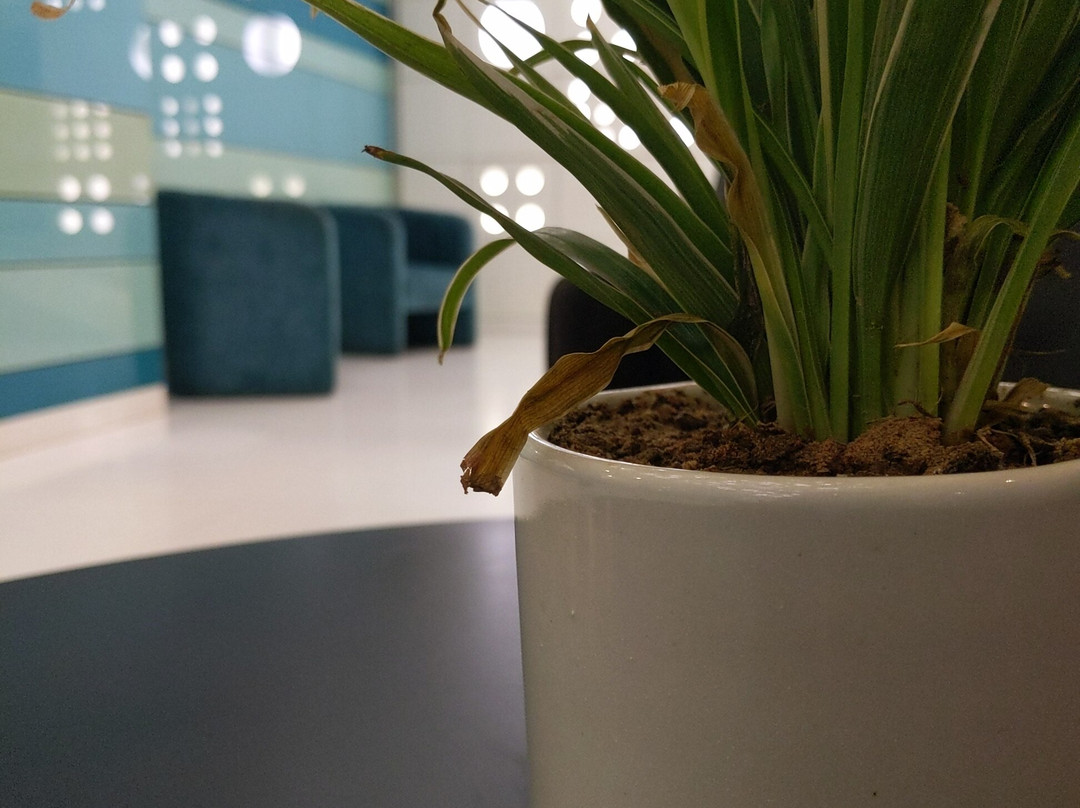 Cocoon Luxury Business Hotel主图