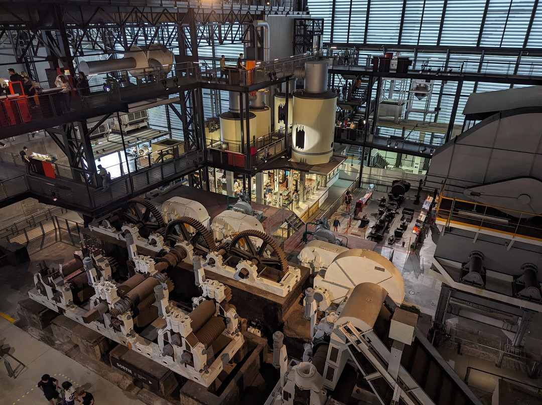 Musée Stella Matutina景点图片