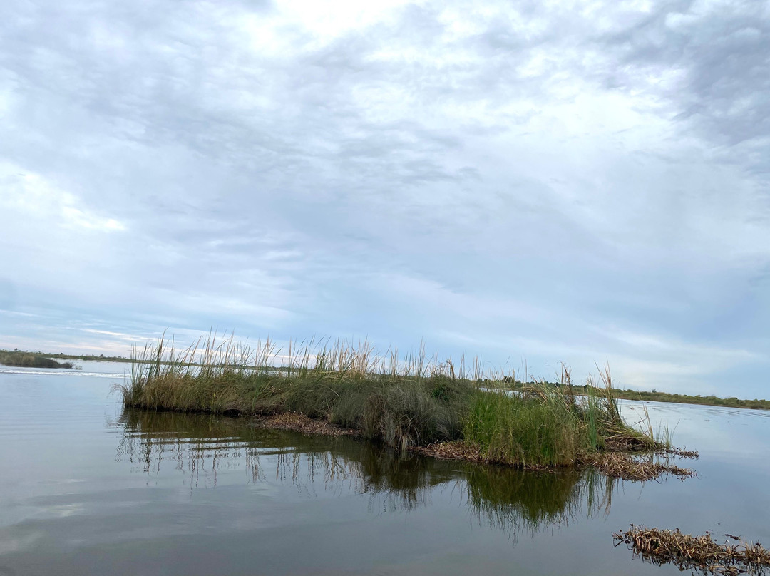 Airboat Adventures景点图片
