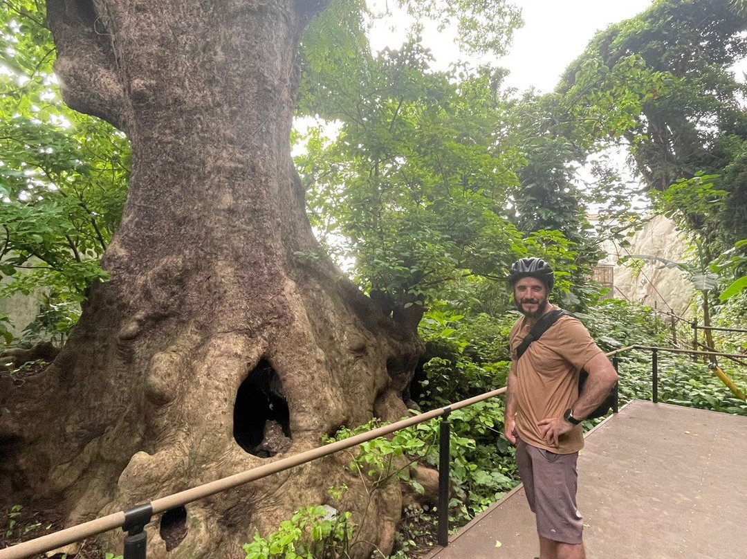 Discovery Bicycle Tours Okinawa / e-CHARIty Naha-那霸市必去景点