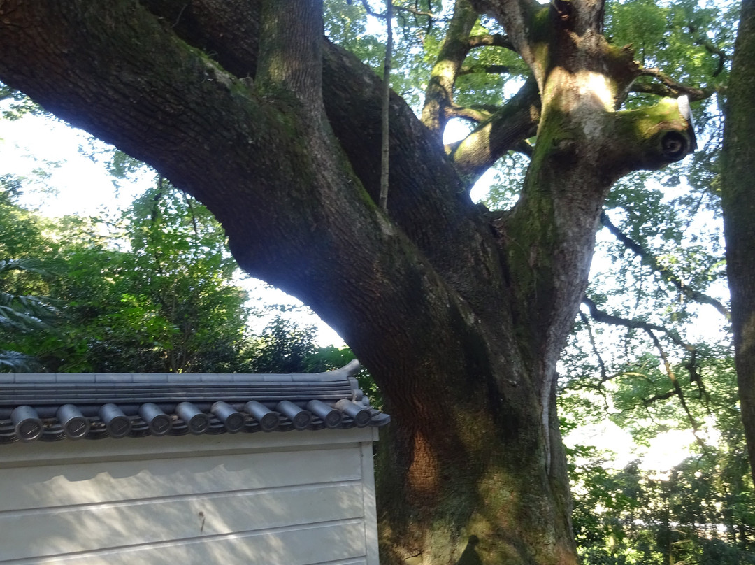 Daikoji Temple景点图片