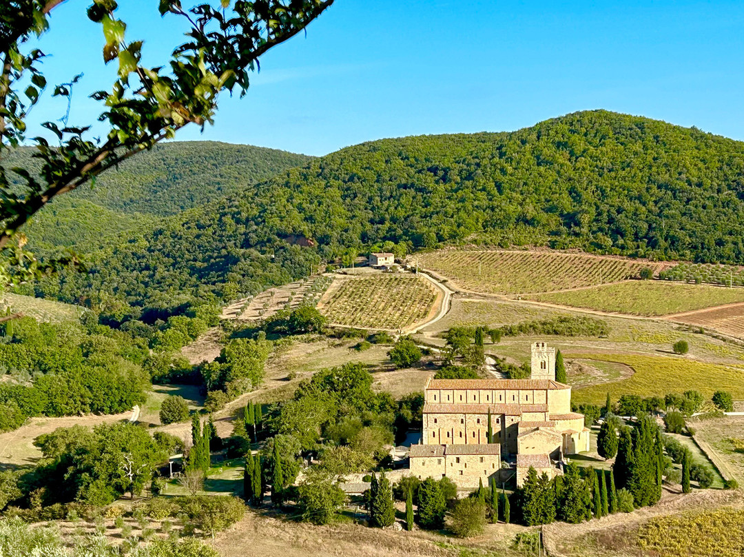 The Wine Hike景点图片
