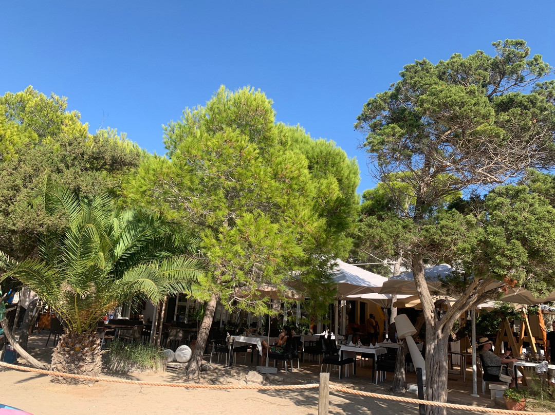 Cala Codolar景点图片