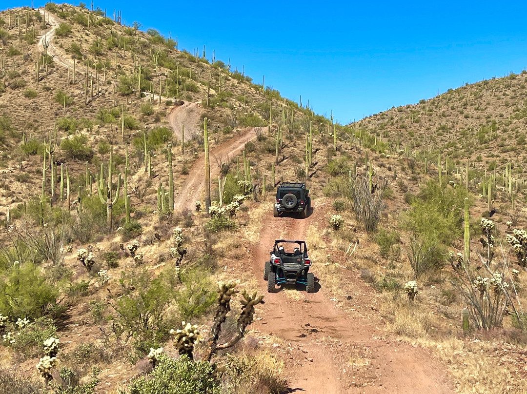 AZ Rentals and More-Florence必去景点