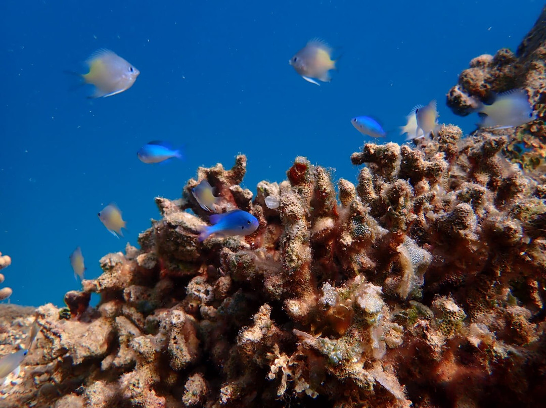 KIRA-Boot-赫尔格达必去景点