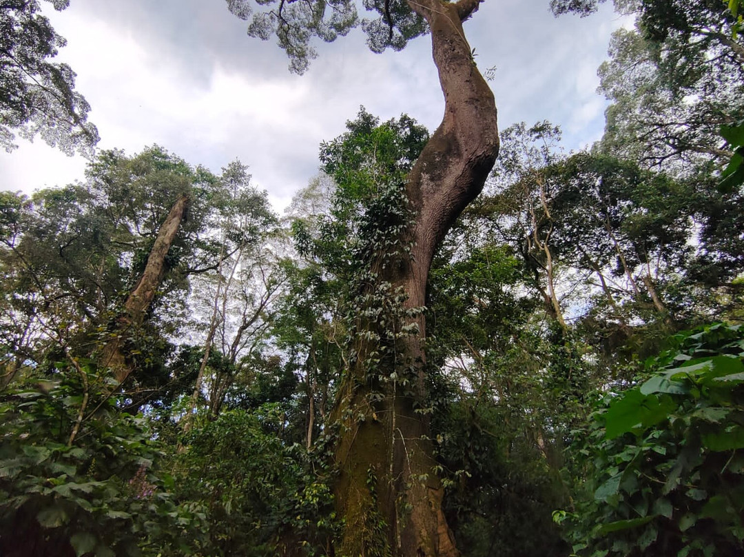 Isecheno Blue Shouldered Guest House主图