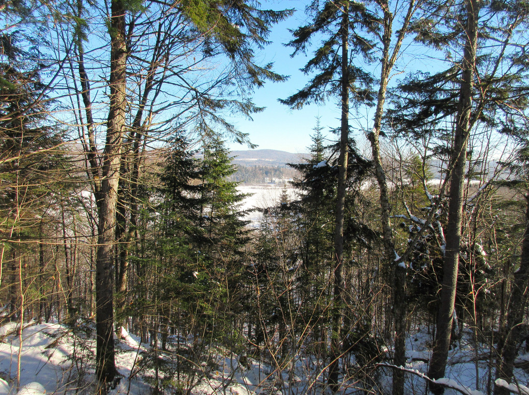 Les Marais du Nord景点图片