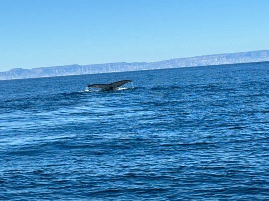Alonso Tours-拉巴斯必去景点