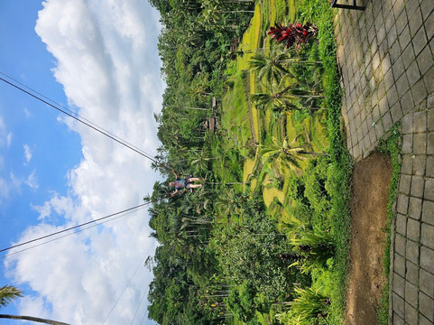 Bali Romantic Tours-登巴萨必去景点