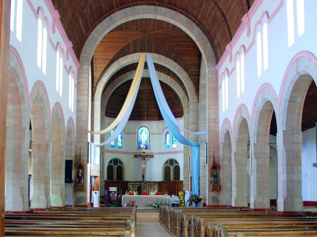 Cathedral of the Immaculate Heart of Mary景点图片