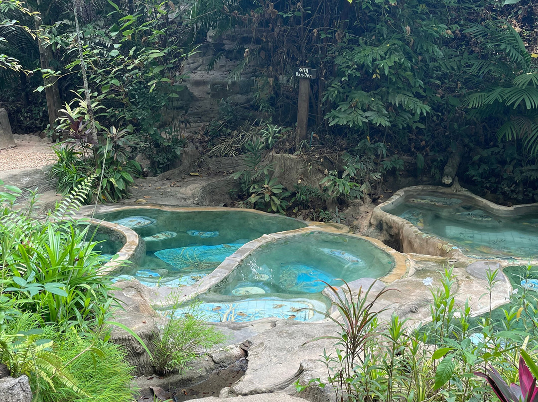 Wareerak Hot Spring & Wellness景点图片