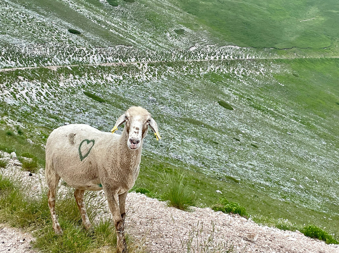 Parco Nazionale dei Monti Sibillini景点图片