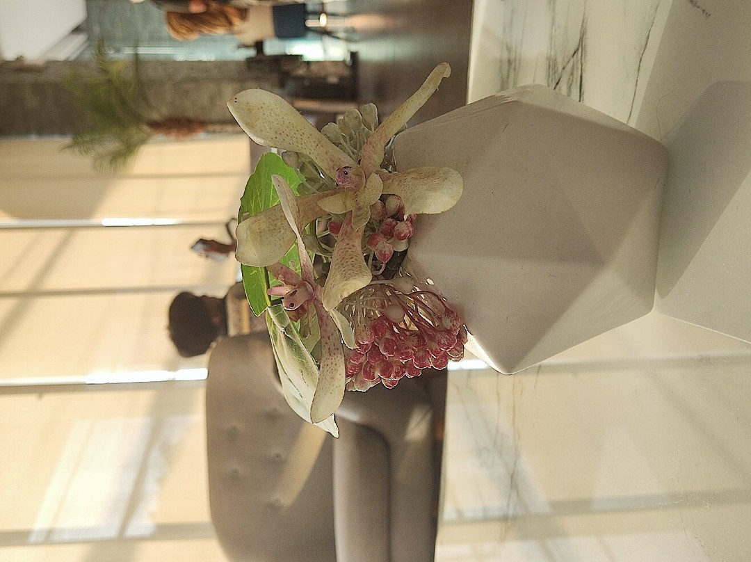 萨拜皇后酒店主图