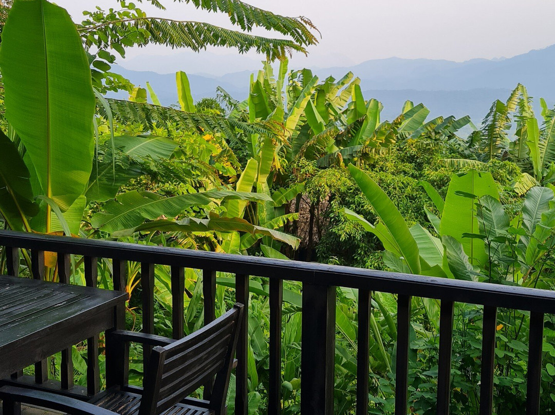 Avana Retreat主图
