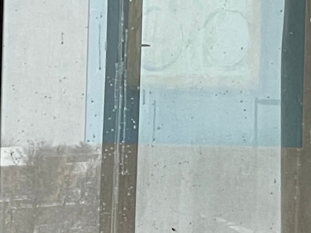 La Quinta Inn by Wyndham Toledo Perrysburg主图