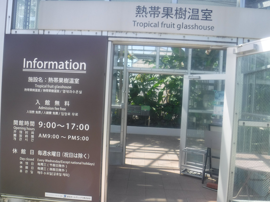 Miyakoh Botanic Garden Aoshima-宫崎市必去景点
