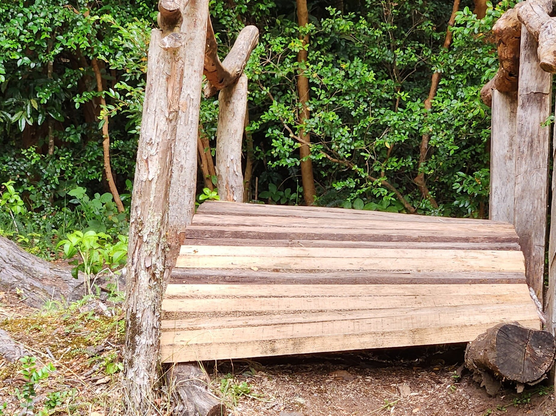 Mirador La Voladora-Puqueldon必去景点