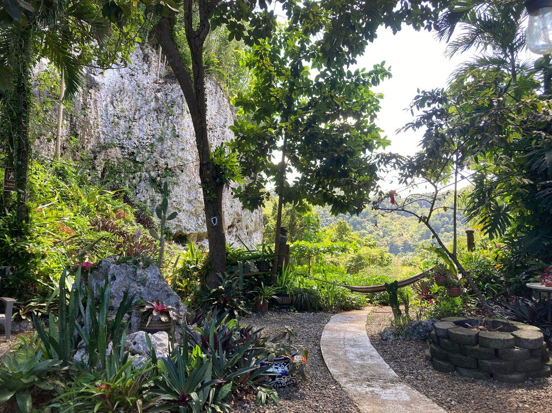 Roca Norte Outdoor Climbing Gym-Vega Baja必去景点