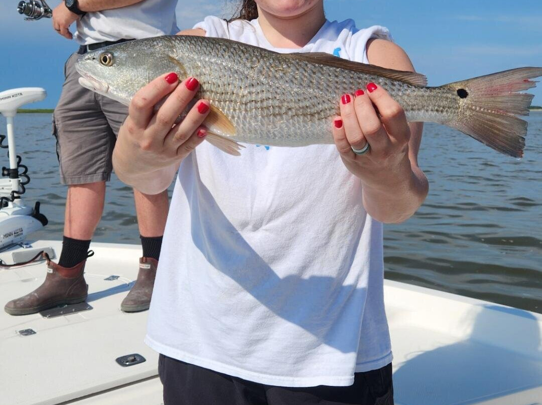 Grand Strand Guide Service-美特尔海滩必去景点