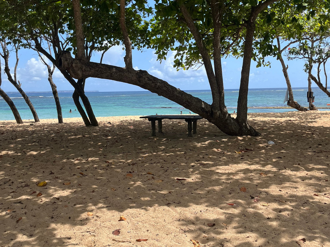 Plage de l'Autre Bord-Le Moule必去景点