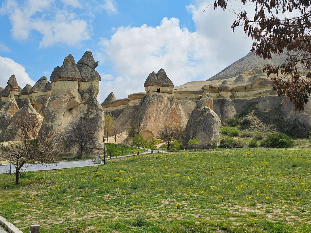 Neopolis Travel-库萨达斯必去景点