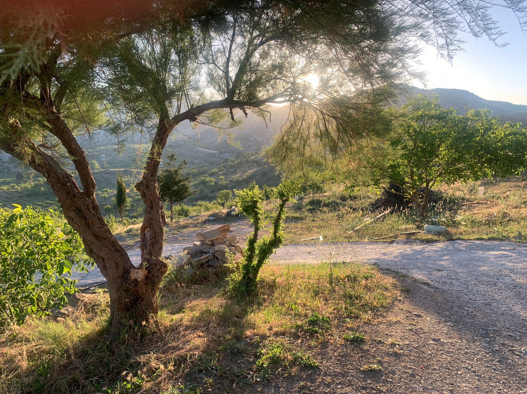 Arodamos Guesthouse主图