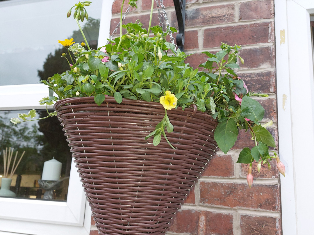 Langlands Loxley, Sheffield Garden Centre-谢菲尔德必去景点